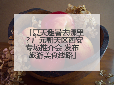 夏天避暑去哪里？广元朝天区西安专场推介会 发布旅游美食线路