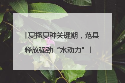 夏播夏种关键期，范县释放强劲“水动力”