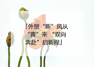 外贸“新”风从“青”来 “双向奔赴”启新程