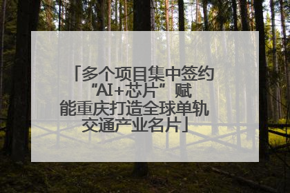 多个项目集中签约 “AI+芯片”赋能重庆打造全球单轨交通产业名片