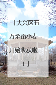 大兴区五万余亩小麦开始收获啦！