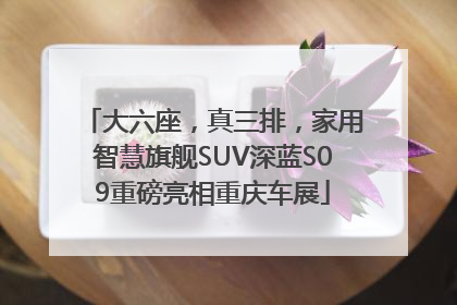 大六座，真三排，家用智慧旗舰SUV深蓝S09重磅亮相重庆车展