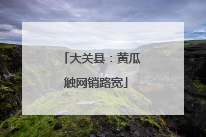 大关县：黄瓜触网销路宽