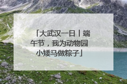 大武汉一日丨端午节，我为动物园小矮马做粽子