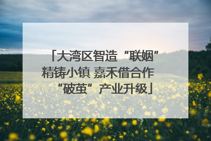大湾区智造“联姻”精铸小镇 嘉禾借合作“破茧”产业升级