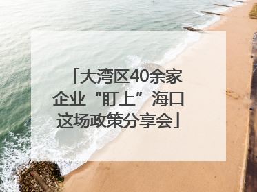 大湾区40余家企业“盯上”海口这场政策分享会