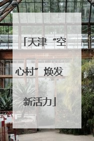 天津“空心村”焕发新活力