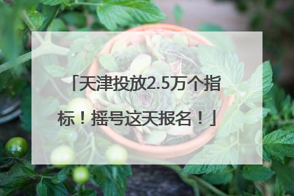 天津投放2.5万个指标！摇号这天报名！