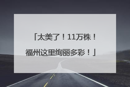 太美了！11万株！福州这里绚丽多彩！