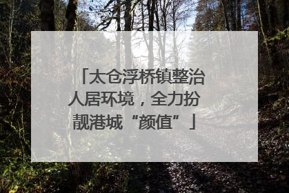 太仓浮桥镇整治人居环境，全力扮靓港城“颜值”