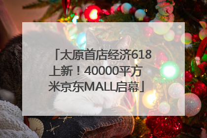 太原首店经济618上新！40000平方米京东MALL启幕