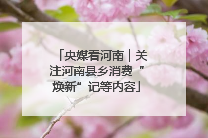 央媒看河南｜关注河南县乡消费“焕新”记等内容