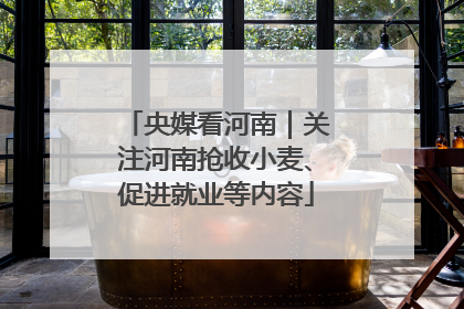 央媒看河南｜关注河南抢收小麦、促进就业等内容