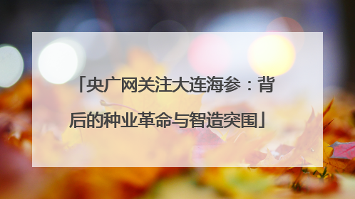 央广网关注大连海参：背后的种业革命与智造突围