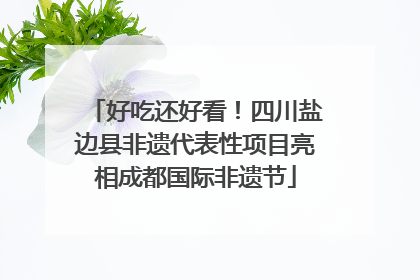 好吃还好看！四川盐边县非遗代表性项目亮相成都国际非遗节