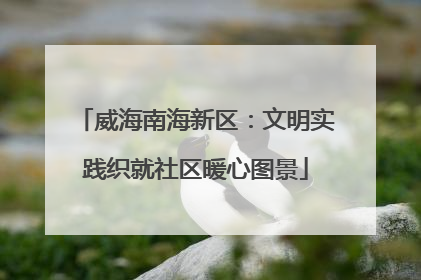 威海南海新区：文明实践织就社区暖心图景