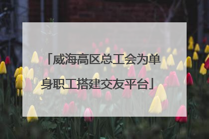 威海高区总工会为单身职工搭建交友平台
