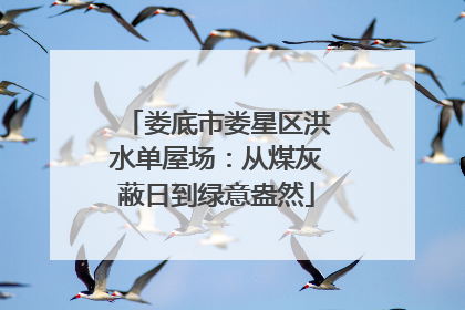 娄底市娄星区洪水单屋场：从煤灰蔽日到绿意盎然