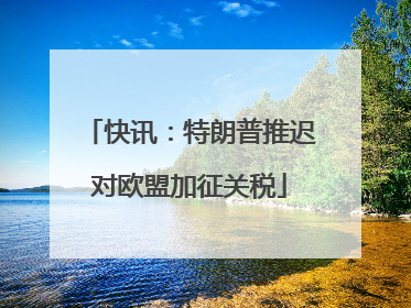 快讯：特朗普推迟对欧盟加征关税
