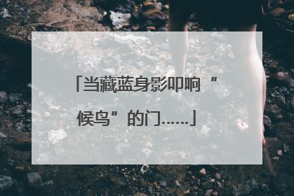 当藏蓝身影叩响“候鸟”的门……