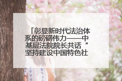 彰显新时代法治体系的磅礴伟力——中基层法院院长共话“坚持建设中国特色社会主义法治体系”