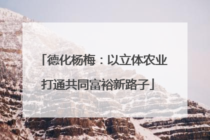 德化杨梅：以立体农业打通共同富裕新路子