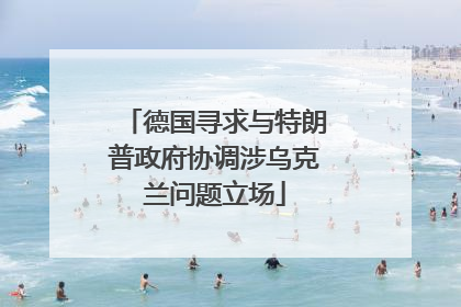 德国寻求与特朗普政府协调涉乌克兰问题立场