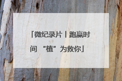 微纪录片丨跑赢时间 “植”为救你