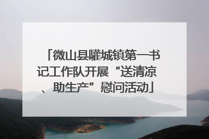 微山县驩城镇第一书记工作队开展“送清凉、助生产”慰问活动