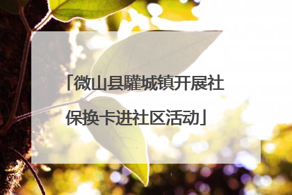 微山县驩城镇开展社保换卡进社区活动