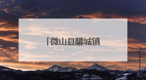 微山县驩城镇开展防汛物资自查盘点工作