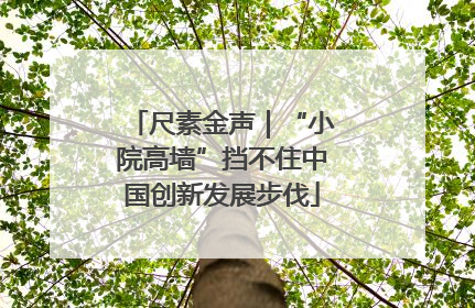 尺素金声｜“小院高墙”挡不住中国创新发展步伐