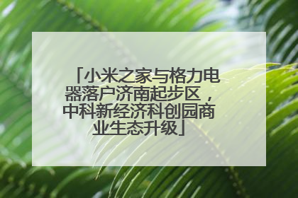 小米之家与格力电器落户济南起步区，中科新经济科创园商业生态升级