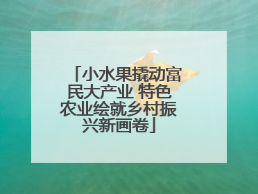小水果撬动富民大产业 特色农业绘就乡村振兴新画卷