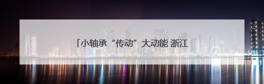 小轴承“传动”大动能 浙江新昌“拼”出山区发展新路