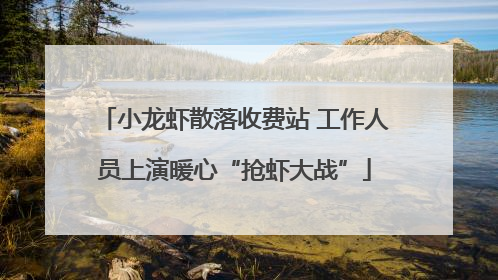 小龙虾散落收费站 工作人员上演暖心“抢虾大战”