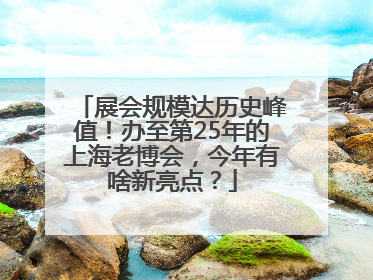 展会规模达历史峰值！办至第25年的上海老博会，今年有啥新亮点？