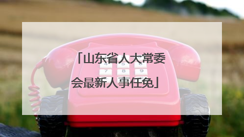 山东省人大常委会最新人事任免