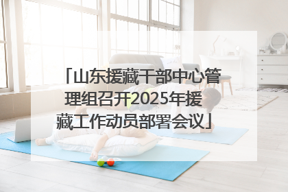山东援藏干部中心管理组召开2025年援藏工作动员部署会议