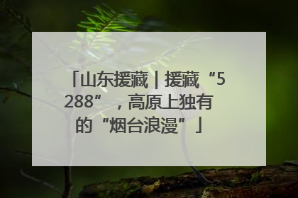 山东援藏｜援藏“5288”，高原上独有的“烟台浪漫”