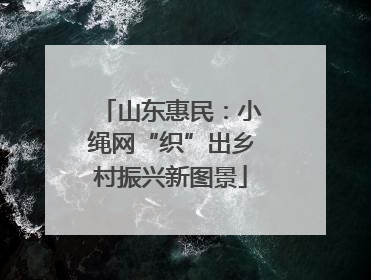 山东惠民：小绳网“织”出乡村振兴新图景