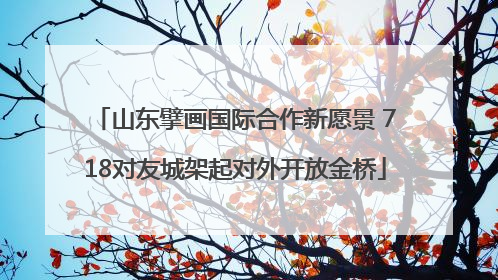 山东擘画国际合作新愿景 718对友城架起对外开放金桥
