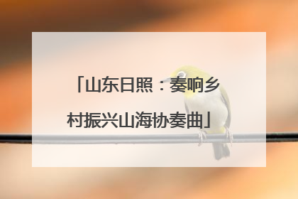 山东日照：奏响乡村振兴山海协奏曲