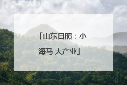山东日照：小海马 大产业