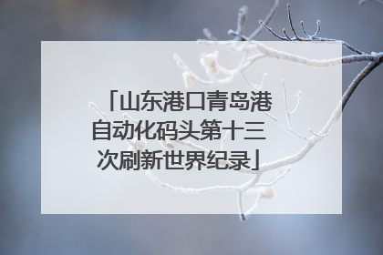山东港口青岛港自动化码头第十三次刷新世界纪录