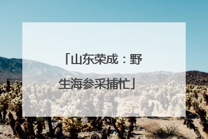 山东荣成：野生海参采捕忙
