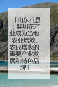 山东莒县：鲜切花产业成为当地农业增效、农民增收的重要产业发展和特色品牌