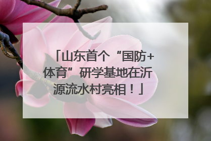 山东首个“国防+体育”研学基地在沂源流水村亮相！