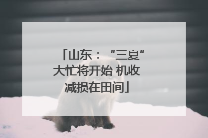 山东：“三夏”大忙将开始 机收减损在田间