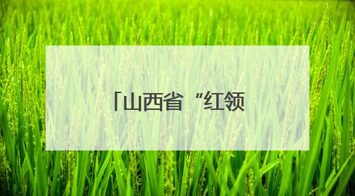 山西省“红领巾小百灵”合唱展演活动举行